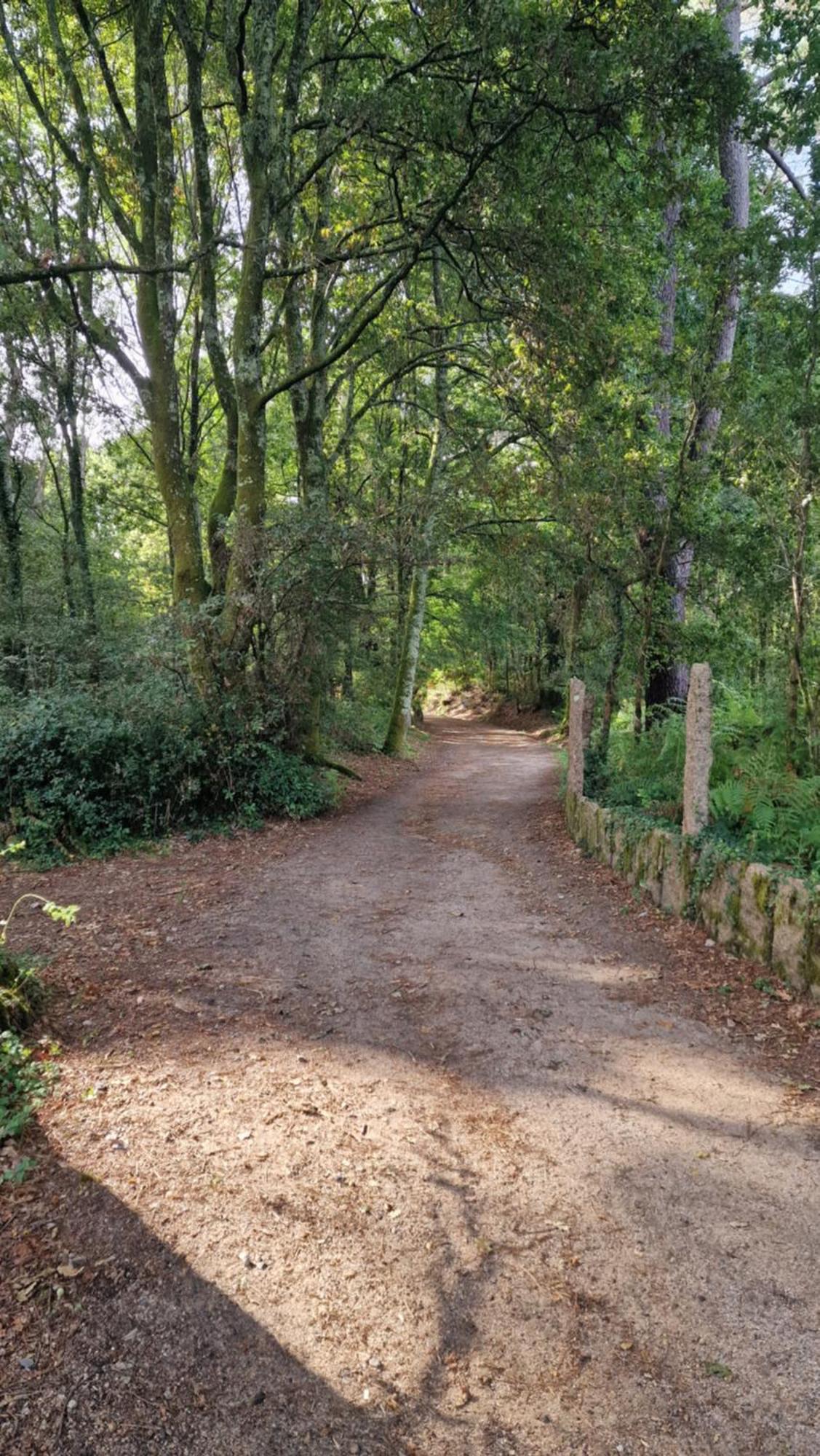 Apartmán Casa Celia Camino Portugues Tui Exteriér fotografie
